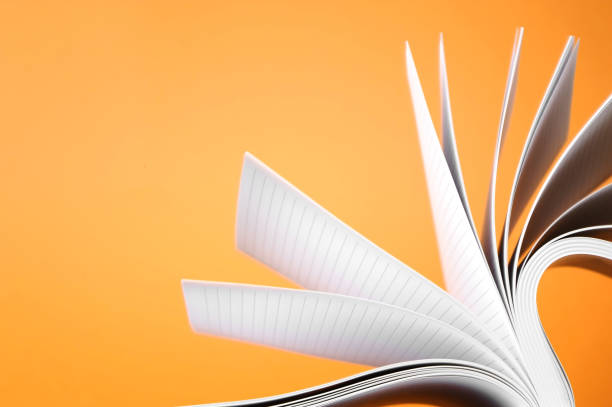 istock Pages of an open book 171350370