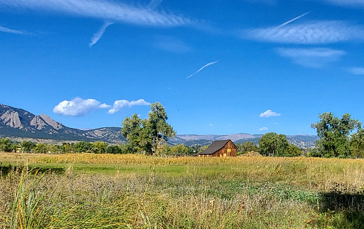Cattails, pasture, barn, and mountains in autumn. Boulder, Colorado.
