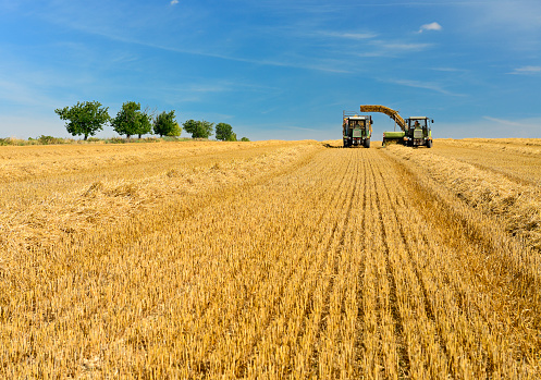 Farmers Harvesting Straw Bales with their Tractors