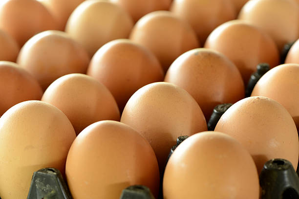 istock Heap of chicken eggs 171350696