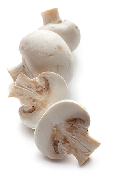 istock Mushrooms: White Mushrooms Isolated on White Background 171350795
