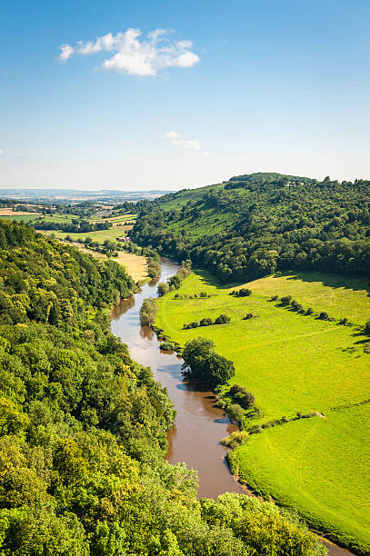 River Wye from Symonds Yat idyllic summer valley UK "Clear blue sky with one white cloud over the vibrant summer foliage and green meadows of this picturesque valley with the River Wye meandering slowly through the Forest of Dean, rural Gloucestershire, Herefordshire countryside and the rolling patchwork landscape of the Welsh borders. ProPhoto RGB profile for maximum color fidelity and gamut." patchwork landscape stock pictures, royalty-free photos & images