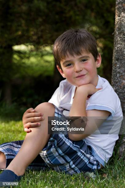 A Figlioa - Fotografie stock e altre immagini di Albero - Albero, Bambini maschi, Sotto