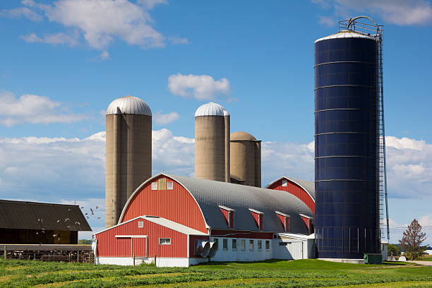 istock Idyllic Wisconsin Farm, Red Barn, Silos 171351317