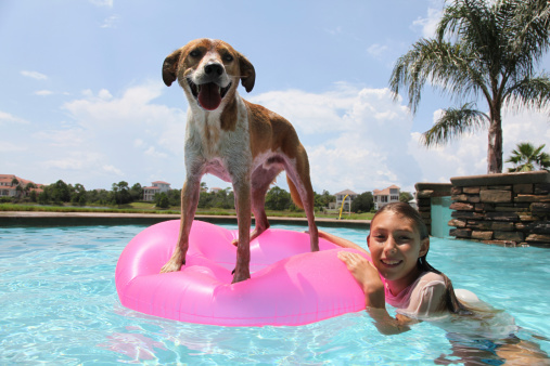 A beautiful girl and her dog relax in the swimming pool for a super fun afternoon in paradise.