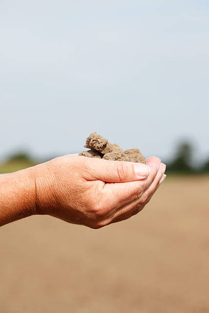 istock Woman Holding Dirt in Hands 171352441