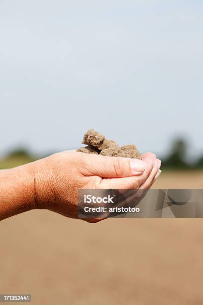 Mulher Segurando A Terra Nas Mãos - Fotografias de stock e mais imagens de Adulto - Adulto, Agricultor, Agricultora