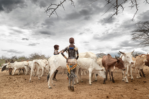 Turmi village,Ethiopia-appril 02-2012: For the Hamer, the Ukuli is the most important of the rituals and the bull jumping is only the latest in a series of rites and tests that bring to completion the symbolic metamorphosis of the initiate, from a young age, considered contaminated, to the pure state of adulthood, at this stage a man can marry and legitimately have children.