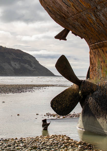 istock Aground ship at cabo san pablo beach, argentina 1713531578