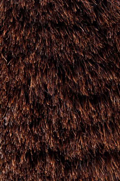 istock Closeup of Brush Bristles 171353538