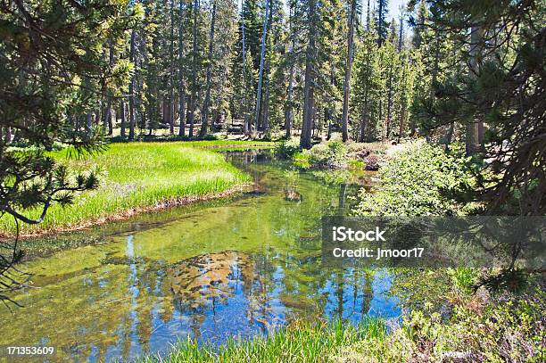 Sierra Nevada Mountain Creek Stockfoto und mehr Bilder von Amerikanische Sierra Nevada - Amerikanische Sierra Nevada, Bach, Baum