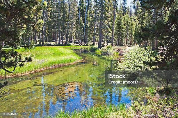 シエラネバダマウンテンクリーク - カラー画像のストックフォトや画像を多数ご用意 - カラー画像, カリフォルニアシエラネバダ, カリフォルニア州北部