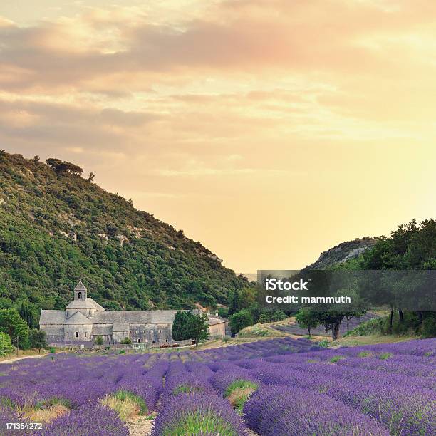 Abadia Com Campo Desabrochando Lavanda No Anoitecer - Fotografias de stock e mais imagens de Abadia de Sénanque