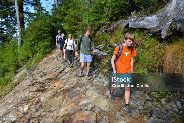 Foto de Caminhada No Parque Nacional De Família e mais fotos de stock de Andar - Andar, Appalachia, Atividade Recreativa