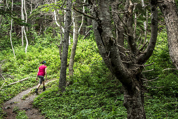 istock Active pregnant woman hiking 171354659