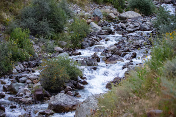 istock Part of a mountain river flowing over stones. 1713547976