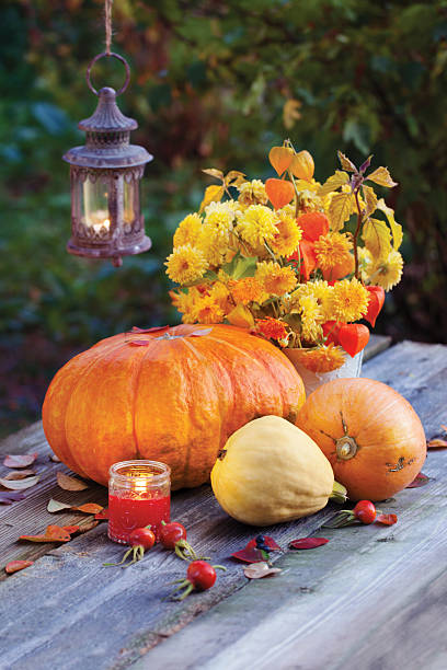 istock Pumpkins with autumn flowers in the evening 171355037