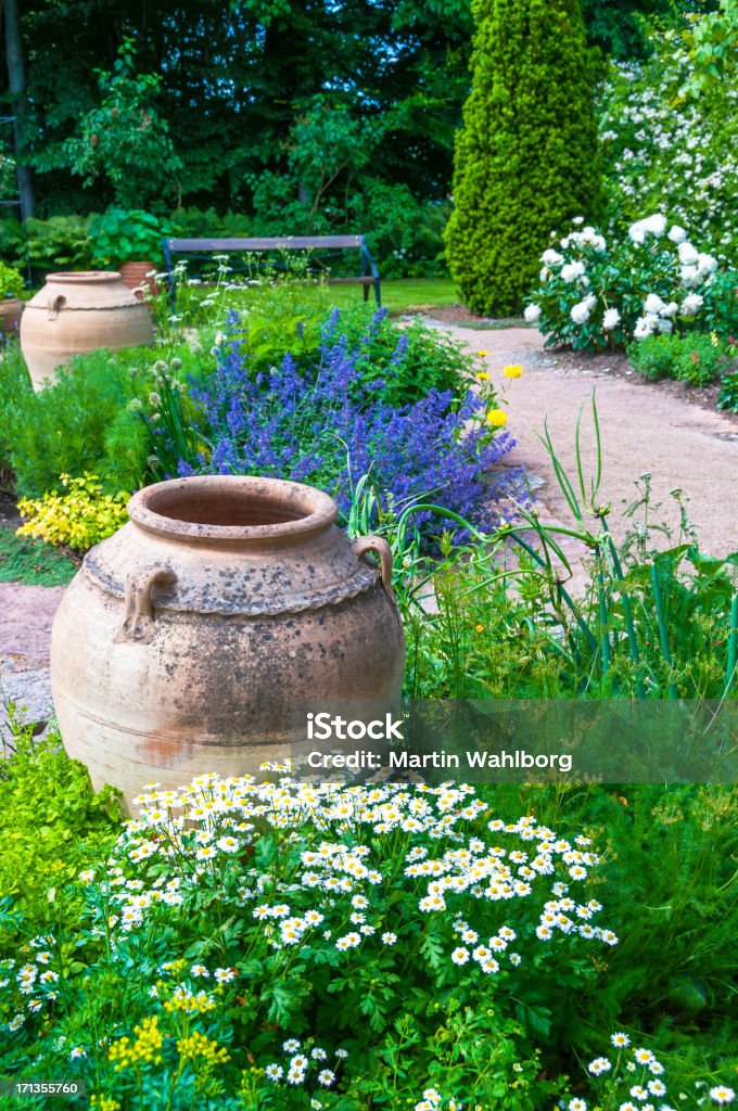 Flower garden with clay pots herbs and wildflowers Herbs and roses (ProPhoto RGB) Rose - Flower Stock Photo