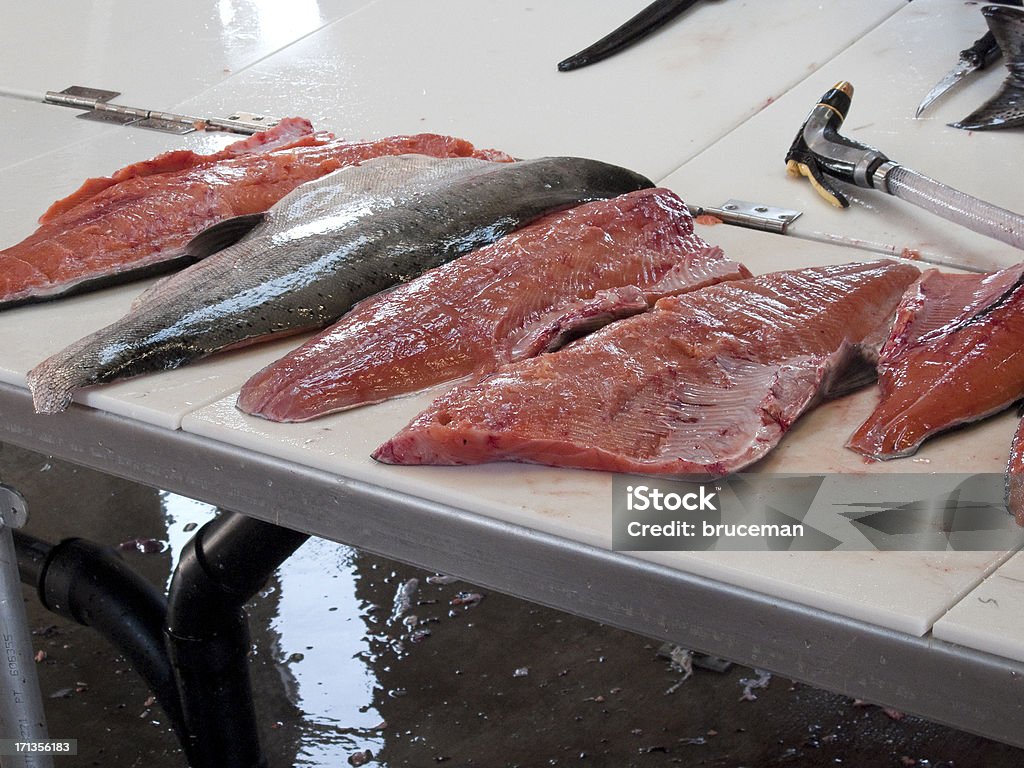 Salmão em mesa de limpeza de peixe - Foto de stock de Alasca - Estado dos EUA royalty-free