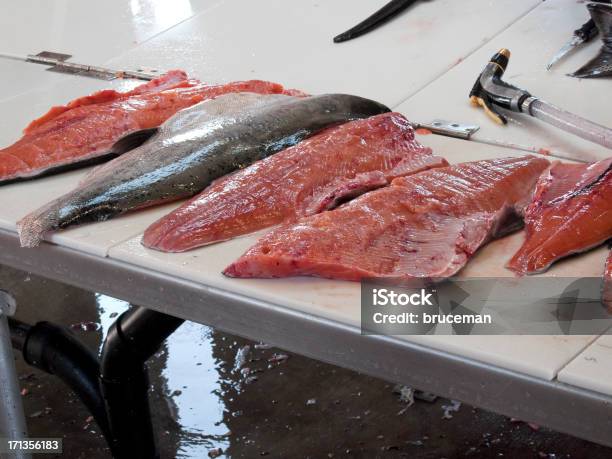 Foto de Salmão Em Mesa De Limpeza De Peixe e mais fotos de stock de Alasca - Estado dos EUA - Alasca - Estado dos EUA, Alimentação Saudável, Animal selvagem