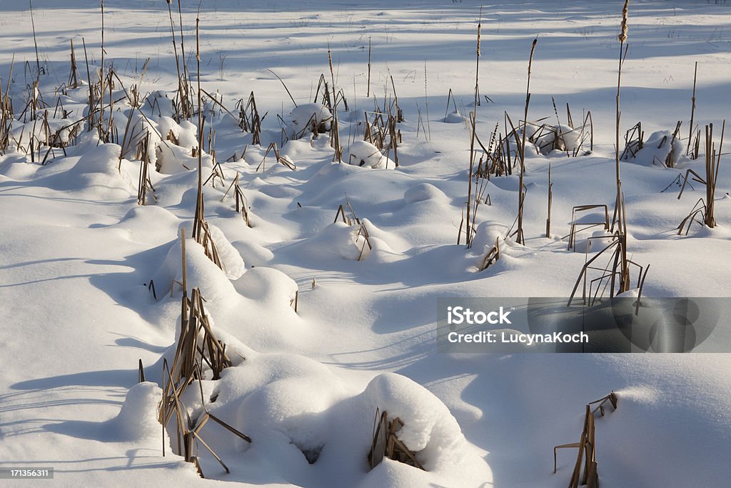 Winter Tag. - Lizenzfrei Fotografie Stock-Foto