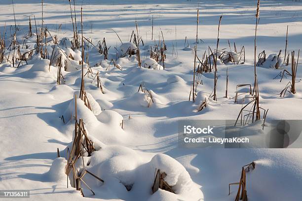Winter Tag Stockfoto und mehr Bilder von Fotografie - Fotografie, Frost, Gefrorenes Wasser