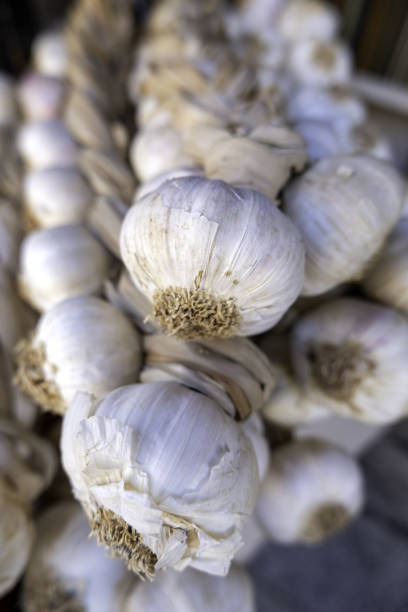 istock Dried garlic in a market 1713568575