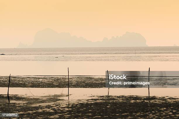 Splendida Silhouette Tramonto Sul Mare Tropicale - Fotografie stock e altre immagini di Acqua - Acqua, Agricoltura, Ambientazione esterna