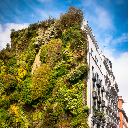 Vertical Garden in Madrid. Spain.