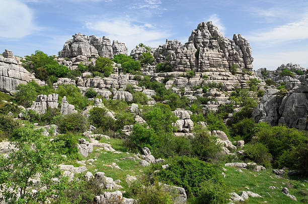 istock Spring view of El Torcal nature reserve 171357508