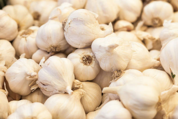 istock Garlic bulbs on farmer's market 171357604