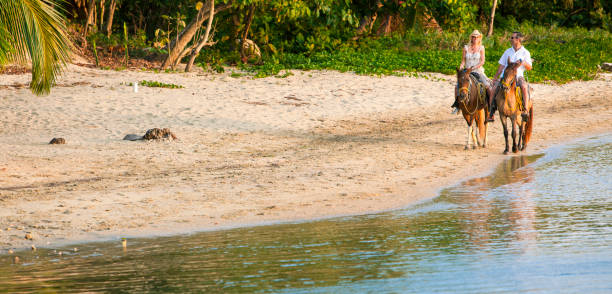 istock Couple riding horses on beach 171357751