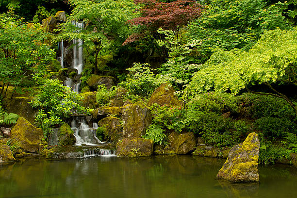 Traditioneller japanischer Garten – Foto