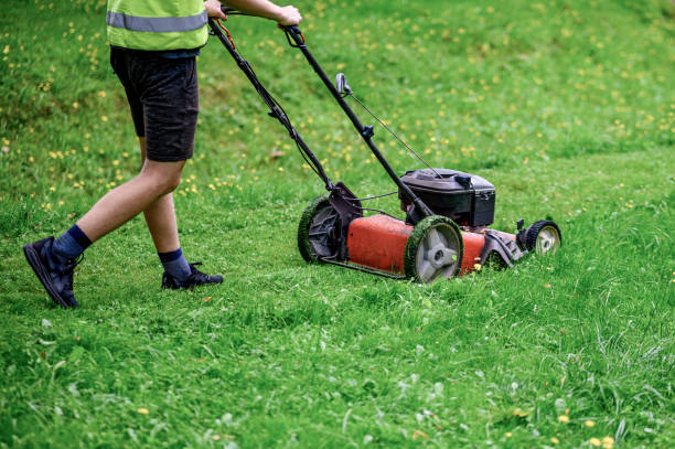 istock a man mows the grass with a lawnmower in his beautiful summer park. 1713580939