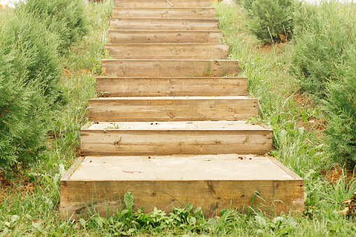 Neat wooden staircase built on small hill surrounded by lush greenery, green grass, standing in non-urban area as testament to harmonious relationship between human and unspoiled environment.