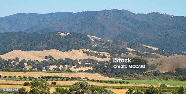Santa Ynez Stock Photo - Download Image Now - Santa Barbara - California, Vineyard, California