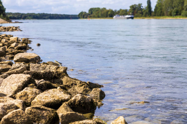 The Rhine along the route of the Rhine ferry \