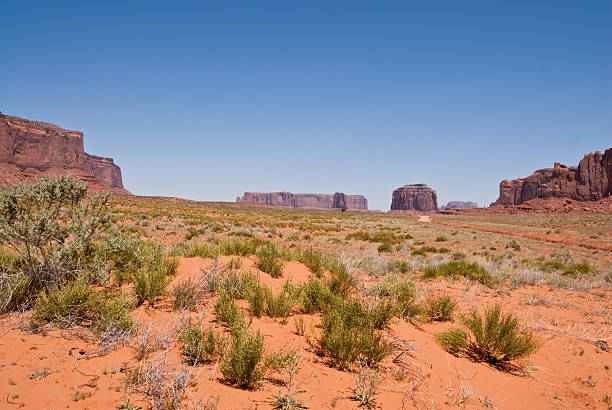 Monument Valley Desert Monument Valley, on the Arizona - Utah border, gives us some of the most iconic and enduring images of the American Southwest. The harsh empty desert is punctuated by many colorful sandstone rock formations. It can be a photographer's dream to capture the ever-changing play of light on the buttes and mesas. Even to the first-time visitor, Monument Valley will probably seem very familiar. This rugged landscape has achieved fame in the movies, advertising and brochures. It has been filmed and photographed countless times over the years. If a movie producer was looking for a landscape that epitomizes the Old West, a better location could not be found. This picture of the Monument Valley Desert was photographed from the Monument Valley Road north of Kayenta, Arizona, USA. jeff goulden monument valley stock pictures, royalty-free photos & images