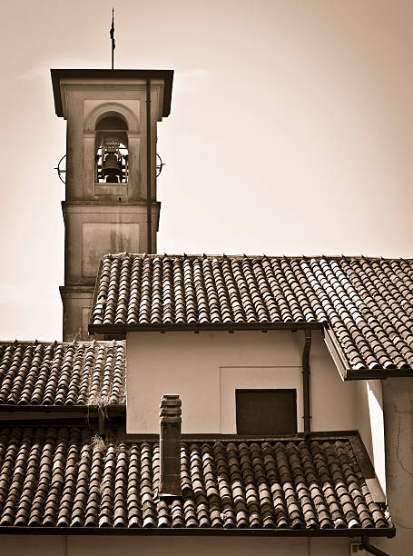 Belltower and roofs. Sepia toned. Vertical.