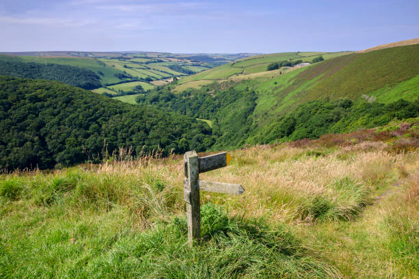 de exmoor - bridle path fotografías e imágenes de stock