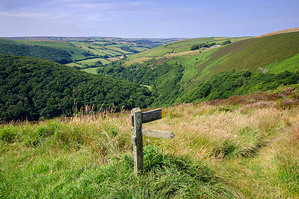 exmoor - bridle path zdjęcia i obrazy z banku zdjęć