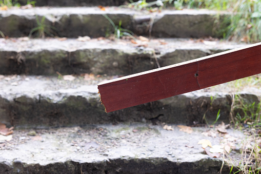 Ruined Stairs in Park