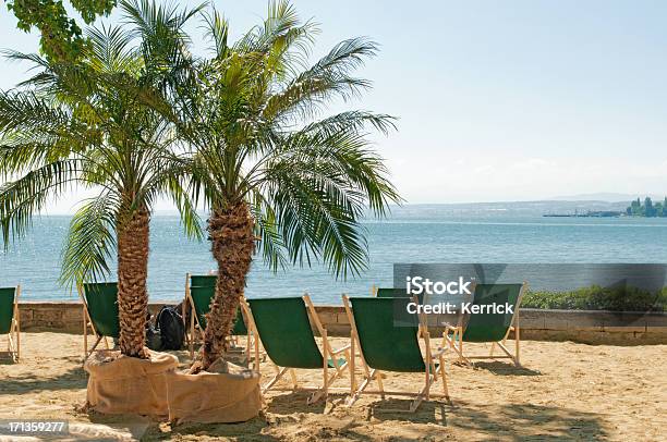 Palmen Und Liegestühlen Stockfoto und mehr Bilder von Bodensee - Bodensee, Strand, Baum
