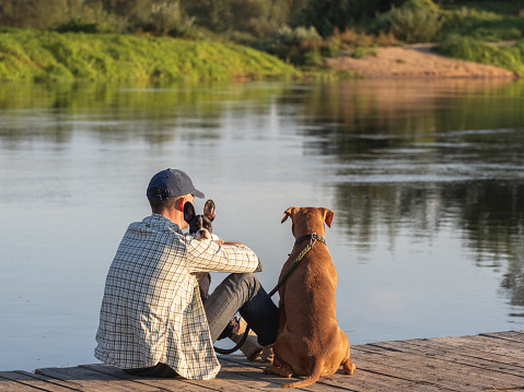 Charming dog, cute little puppy and attractive man sitting on the river bank on a clear, sunny day. Closeup, outdoors. View from the back. Day light. Concept of care, training and raising pets