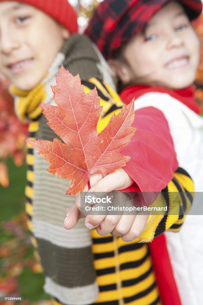 Autumn sibling portrait Sibling autumn portrait outdoor 6-7 Years Stock Photo