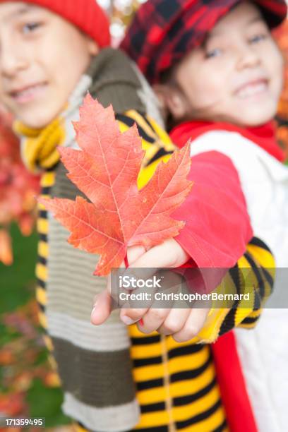 Autumn Sibling Portrait Stock Photo - Download Image Now - 6-7 Years, Asian and Indian Ethnicities, Autumn