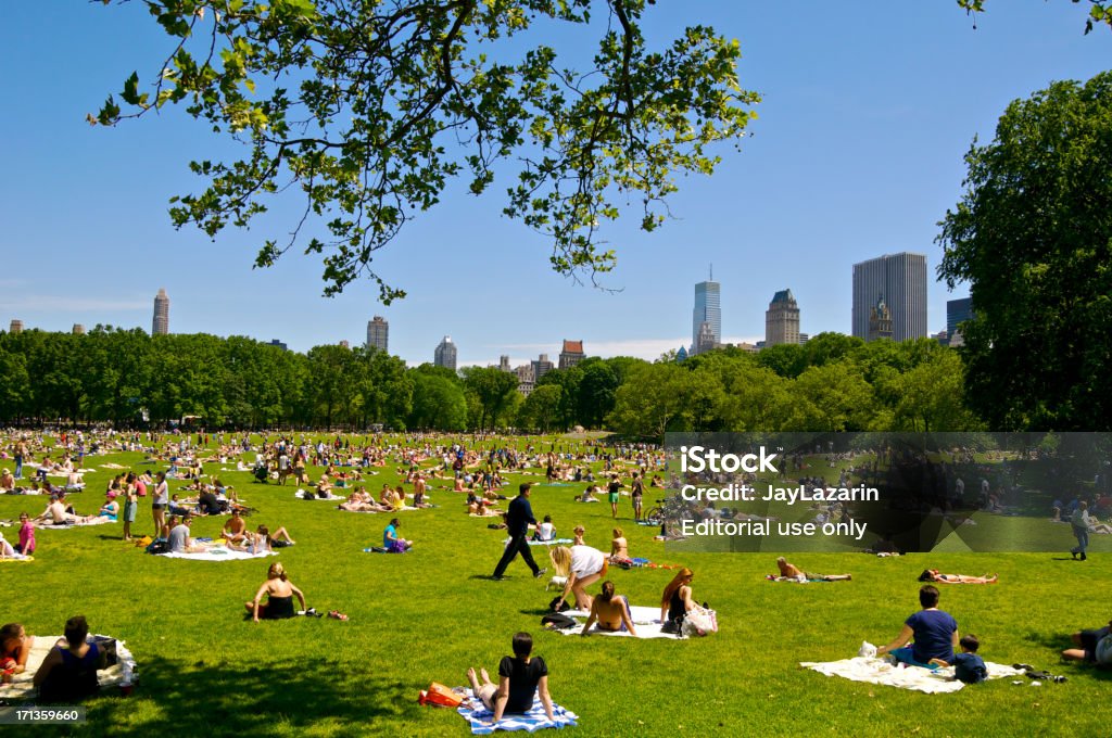 Sunbathers At Central Park Sheep Meadow In Spring Manhattan Nyc Stock ...