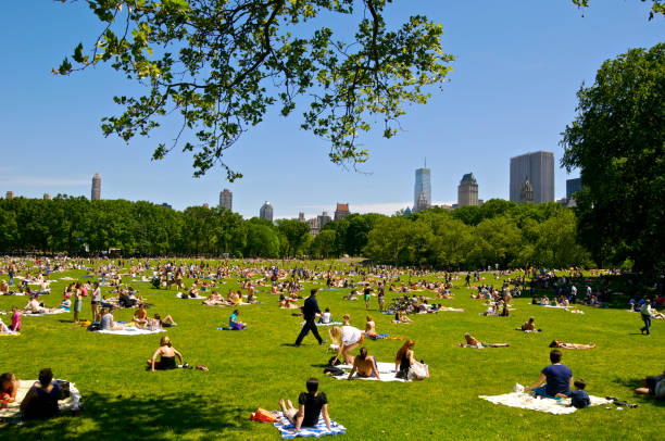 plażowiczów w central park owiec łące wiosną manhattanu, nyc - editorial shadow new york city manhattan zdjęcia i obrazy z banku zdjęć