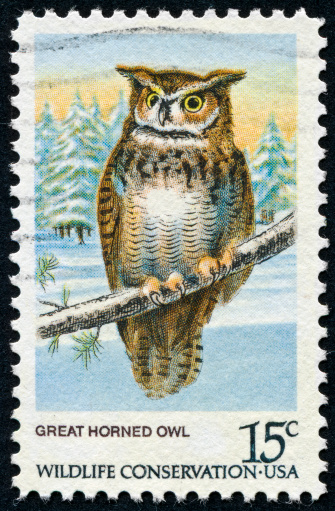 Cancelled Stamp From The United States Featuring The Great Horned Owl