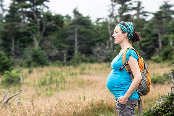 Active pregnant woman hiking stock photo